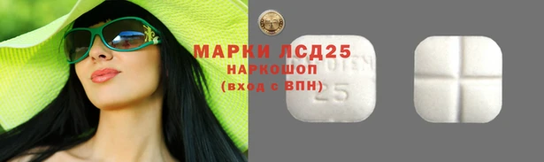 соль ск Абаза