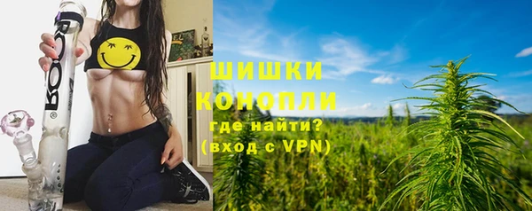 соль ск Абаза