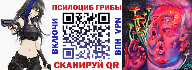 omg как зайти Троицк Псилоцибиновые грибы мухоморы